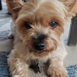 Lester Gardner - @lestergardner.49 - Instagram