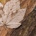 Lester Goodwin - Facebook