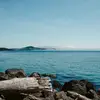 Lester Goodwin - @dustin_dooley34 - TikTok