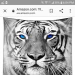 Harvey Lester - @harvey.lester.167 - Instagram