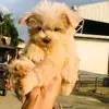 Lester Harvey - @lester_sky10 - TikTok