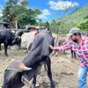 Lester Herrera96 - @lesterherrera9 - TikTok