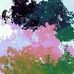 Lester Kane - Facebook