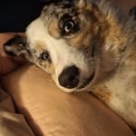 Lester Kay - @keemomma - Instagram