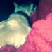 Lester Keene - Facebook