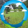 Lester Knott - @lester.knott - TikTok