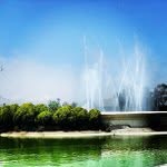 Lester Larson - @capiawest - Instagram