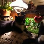 Lester Lester - @lester.lester.52438174 - Instagram