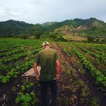 Lester Lobo - @lobo2621 - Instagram