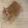 lesliejohnson - @lester.loo - TikTok