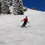 Lester - @lester_loog - Instagram