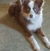 Lester McKee - Facebook