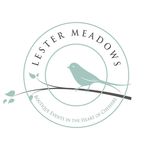 Lester Meadows - @lestermeadows - Instagram