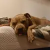 Lester Mills - @lester.mills - TikTok