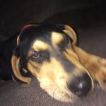 Lester Mullens - @lestermullens - Instagram
