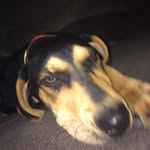 Lester Mullens - @lestermullens - Instagram