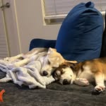 Laika and Lester Neff-McHose - @lesterandlaika - Instagram