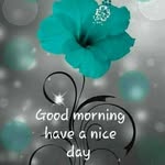 lester_patel001 - @lester_patel001 - Instagram