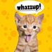 Lester Pennington - Facebook