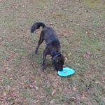 Lester Pittman - @lesterpittman - Instagram
