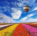 Lester Pollard - Facebook