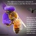 Lester Pollard - Facebook