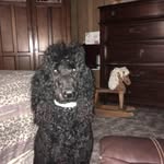 LesterKathy McAnally Pollard - @lesterkathymcanallypollard - Instagram