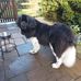 Lester Powell - Facebook