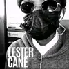 Mr_silver_boy - @silverlester - TikTok
