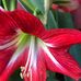 Lester Simms landscaper - Facebook