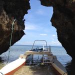 Slack-lester - @lester_the_lobster - Instagram