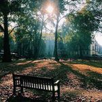 @lester_snyder - Instagram