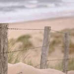 Lester Terry - @lesterterry16 - Instagram