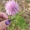 terrylester559 - @terrylester559 - TikTok