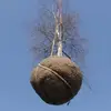 Lester Velez - @lester.velez52 - TikTok