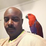 Lester. Wall - @lester._wall - Instagram