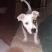 Lester Wallace - Facebook