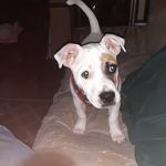 Lester Wallace - @lester.wallace - Instagram