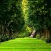Lester Watson - Facebook