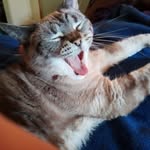 Lester West - @lesteremt - Instagram