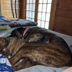 Cindy Lester Whitaker - Facebook