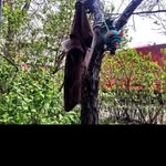 @lesterwilhelmu - Instagram