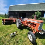 Lester Wolfer Jr. - @wolferjr.lester - Instagram