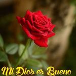 Lesvia Liceth Melgar Ramos - @lesvialiceth - Instagram