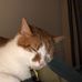 Leta Carter - Facebook