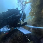 Leta Morgan Dawson - @leta_underwater - Instagram