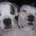 Leta Green - Facebook