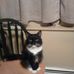 Leta M Miller - Facebook