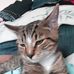 Leta Trombly Miller - Facebook