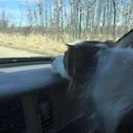 Leta Murray - @letamurray66 - Instagram